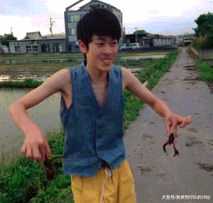 珍稀|这是什么珍稀物种？竟如此奇特！