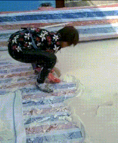 尾巴|爆笑gif:猪尾巴是卷的不是直的