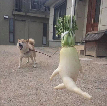 成年人|搞笑gif:我都成年人了,打游戏完全可以去网吧打啊!