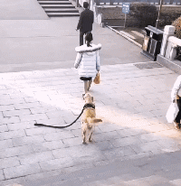 孩子|搞笑GIF动图：这女朋友要不得，想哄她你都追不上