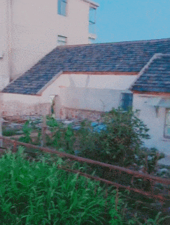 情敌|搞笑GIF:M话题