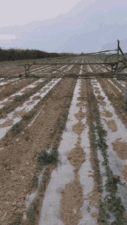 乐呵|搞笑GIF：今天公交上遇到的网红小姐姐！