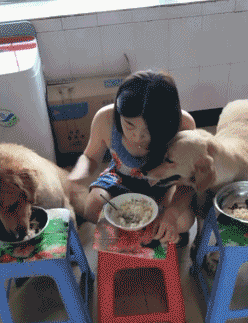 尴尬|搞笑GIF趣图:你也曾经有过夹不起菜的尴尬吗?