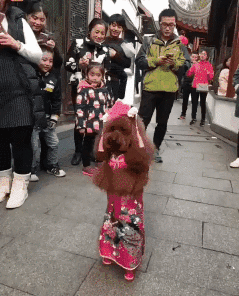 广场|搞笑GIF趣图:妹子,自拍的姿势太霸气了,如果让人看见会不会尴尬啊?