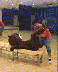 插兜|搞笑GIF趣图：想看看女朋友有没有整容，这样就对了！