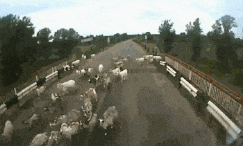 兜子|搞笑GIF趣图：媳妇，我衣服上的兜子哪去了