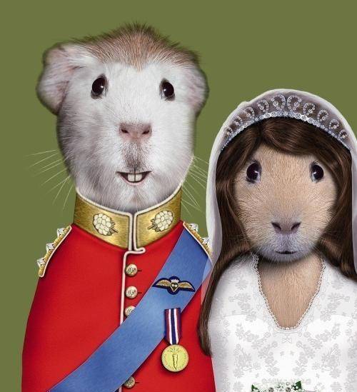 男友|开心一刻: 上个星期六，我第一次在男友家吃饭！