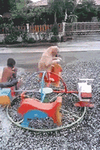 巧妙|哥们伪装的不错啊很巧妙，可是眼睛还是出卖了你