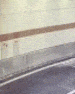 箱子|搞笑GIF趣图：熊孩子的日常，一箱子鸡蛋这样被糟蹋了