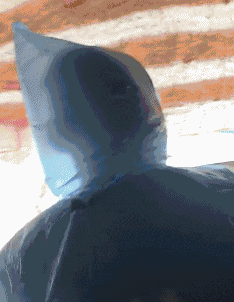 大胆|搞笑GIF:我有一个大胆的想法