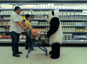 小姨子|搞笑GIF：呀！吓了老子一跳