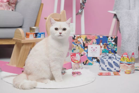 大妈|大妈:“我女儿谈了个男朋友,说就是这个宿舍的,只要不是你我就放心了”