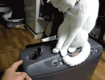 下雪天|搞笑GIF：聪明的宝宝，这样真的可以搬动了吗