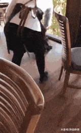 蜥蜴|内涵GIF:你们不能因为我是蜥蜴就这样对我!