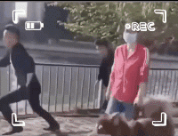 朴实|搞笑GIF：自行车：你下去，我去给你超车去