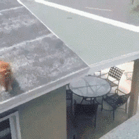 瓶盖|搞笑GIF:娶了这样的媳妇 每天动不动就挨削 真的好怕她