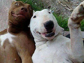 清奇|搞笑动态图GIF: 这是我最后一个儿子，你就别卖了，行不？