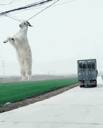 今晚|搞笑GIF：终于下班了，今晚老公该交作业了