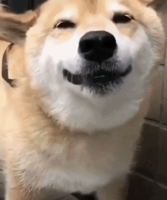 只要功夫深|搞笑GIF：姑娘，你这个办法不错！走的有点快了！慢点！