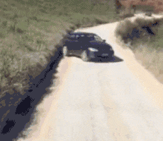 模样|去年种下的妹纸，到了今天终于要成熟了，模样还不错