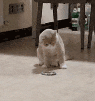 节奏|这颜色咋回事啊！？这是褪色了的节奏啊！