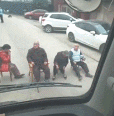 士奇|搞笑GIF趣图:哈士奇整天就知道玩,金毛已经开始干活了