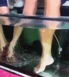 不要|搞笑GIF趣图：幸亏有监控，要不真的没办法解释