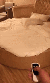 教练|搞笑GIF：教练也是一个高危职业