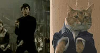 老婆|娶了这样的老婆真幸福啊