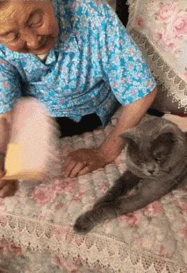 还是|搞笑GIF趣图:女主播跳舞动作与表情包神同步呢