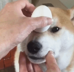 烟瘾|搞笑GIF：你还这么小怎么烟瘾这么大呢？