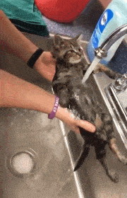 转圈圈|搞笑GIF动图：爱的魔力转圈圈，一圈又一圈