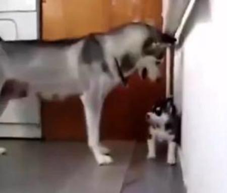 周星驰|幽默搞笑:如果给你一次机会,你会复活谁