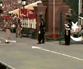 搞笑|搞笑GIF：三哥，给自己剪发都这么迷人