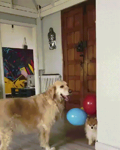 妹子|妹子这嘴型竟可以随意操作，简直逆天了！