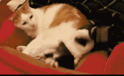 小伙子|搞笑GIF:小伙子下次站的这么高的时候,还是不要随便乱动了。