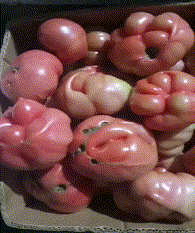 老总|搞笑GIF趣图：对此，老总是很满意的，加薪有望