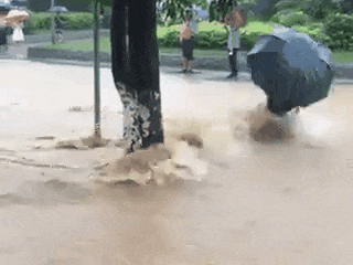 瘦子|搞笑GIF图: 这大概就是智商的差距吧