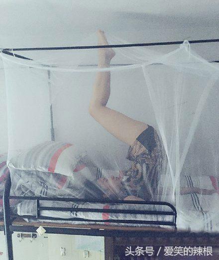 创口贴|姑娘你这创口贴是不是有些太大了