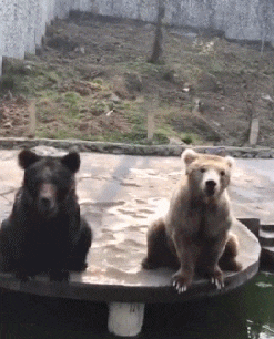 动作|搞笑动态图GIF: 看懂这个动作的人,估计都老了吧。