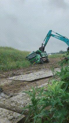 老子|搞笑GIF图:老公的小情人哭了,我该怎么办才不会挨骂