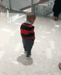 易上|搞笑GIF:吃的苦中苦方为狗上狗