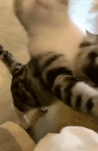 车筐|搞笑GIF趣图:大爷真是物尽其用,这才是车筐,正确打开方式