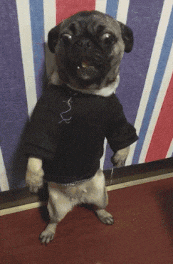 守门员|搞笑gif: 守门员，你这反应是不是慢了点