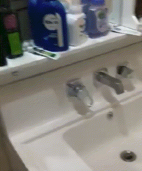 申请书|GIF搞笑趣图:我要辞职了,我这申请书老板肯定会批!