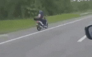 暴殄天物|搞笑gif趣图：大兄弟你就不为所动吗？真是暴殄天物！