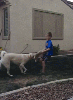 队友|遇上坑爹的狗队友,总是让人毫无防备又哭笑不得!