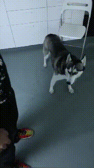 孙大圣|笑话：生活不容易啊，就连神通广大的孙大圣都出来卖啤酒了