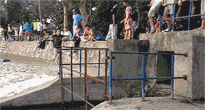 媳妇|搞笑GIF:女朋友这么会玩,惊喜不,意外不,有趣的灵魂啊