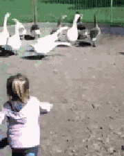 妹子|搞笑GIF趣图：这么多美女，敢问这是哪个单位下班了？